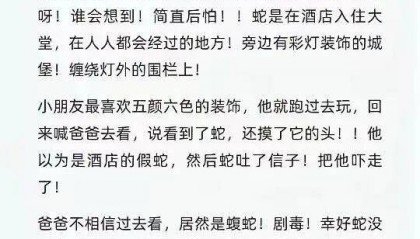 酒店大堂发现剧毒蛇,小孩以为是假蛇还摸了蛇头,涉事酒店回应:已放生,酒店增设驱蛇装置