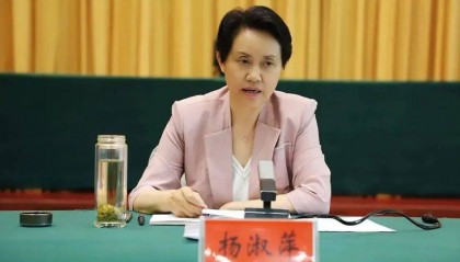 杨淑萍,被查