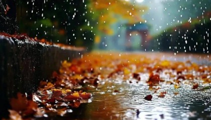 冷！冷！冷！北京这场秋雨啥时候停？