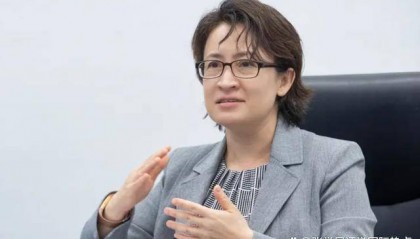 王毅说的话，德国一句没听，外长访华还没准信，就给蔡英文发请帖