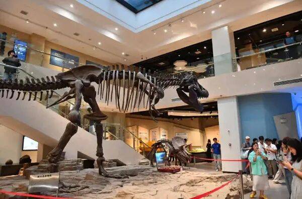 【国内新闻】校馆弦歌丨中南大学地质博物馆:追寻地质报国足迹