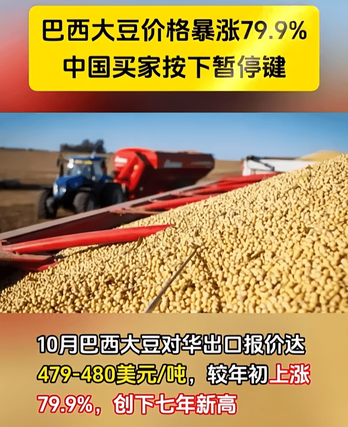 反制升级了！巴西大豆被中国停购后，转身就对中企下狠手，中方亮明态度