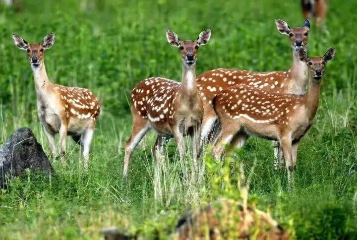 禁止任何形式穿越！杭州一地发布最严禁令