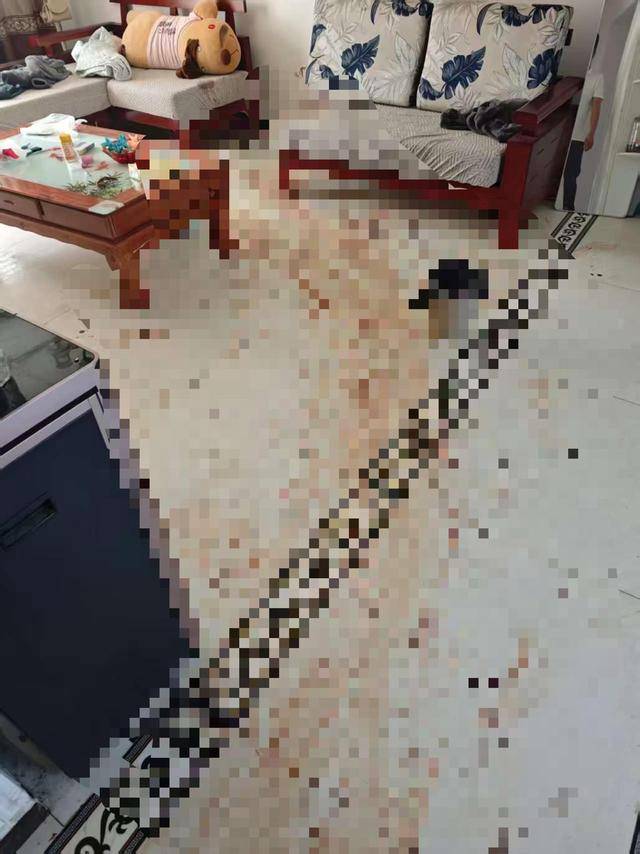 “女子出租屋遭男友持刀杀害”案明日开庭,家属发声:凶手从未道歉,我们不会谅解