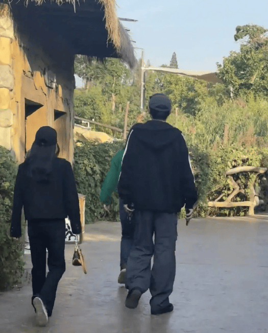 考古 | 杨旭文辟谣和跳水冠军陈若琳订婚！两人何时有的交集？