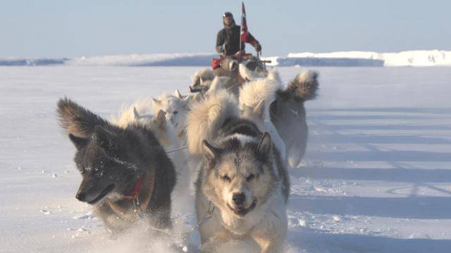 被丹麦首相威胁后，特朗普摊牌了：没了美国，北约啥也不是