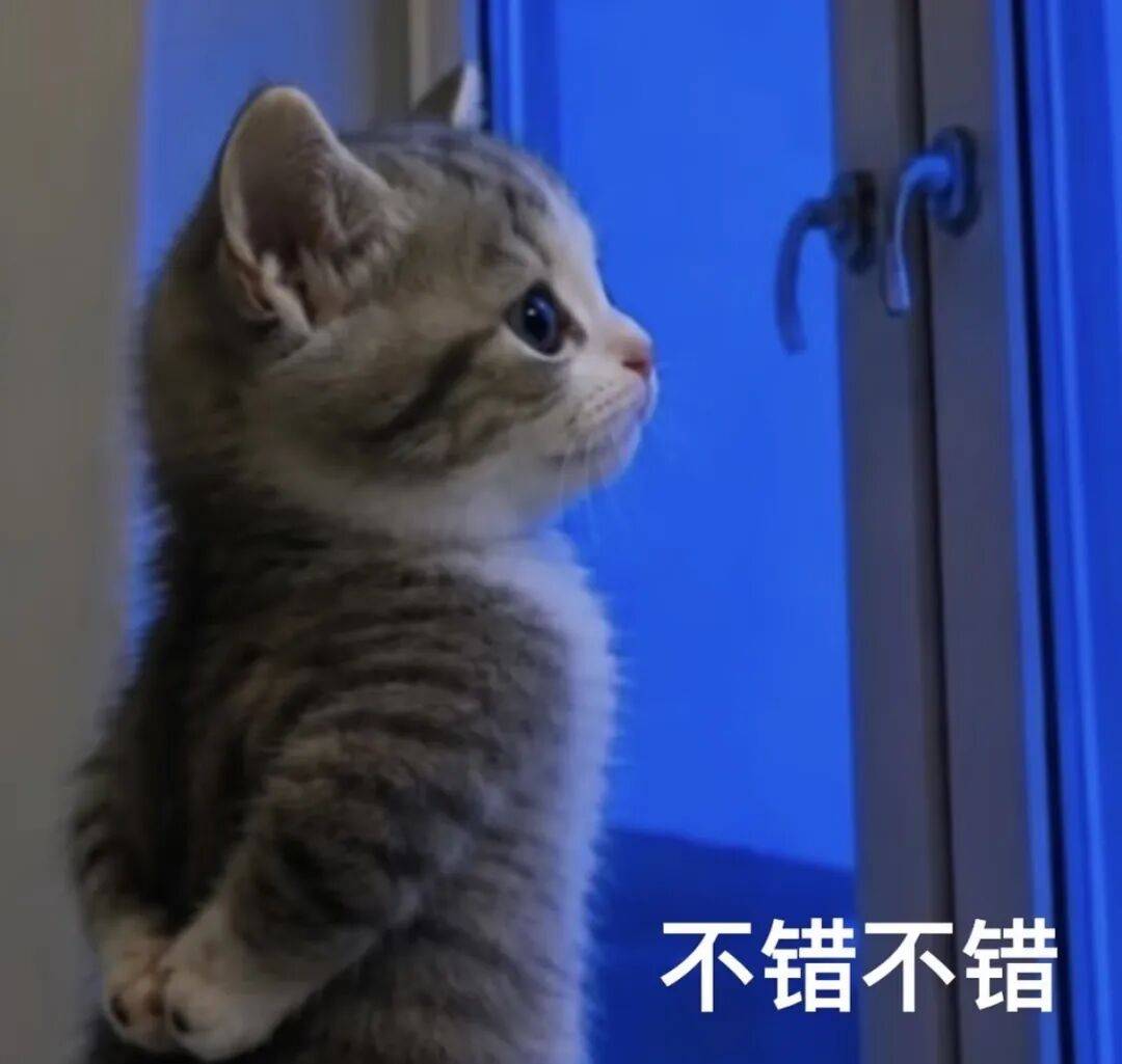 新台风“红霞”将生成，影响广东！广州有明显风雨